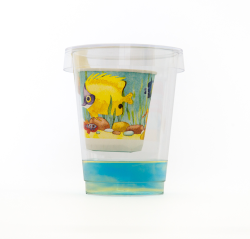 Ocean Acidification in a Cup