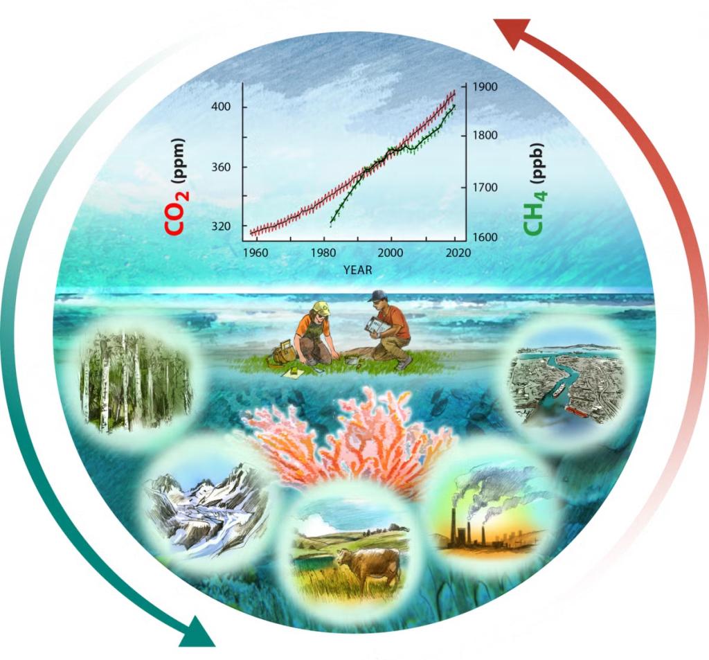 Report Cover Figure: North American carbon cycling illustration, courtesy Ron Oden, University of Nevada, Reno.  This graphic represents the dynamic nature of carbon stocks and fluxes in the United States, Canada, and Mexico described in the Second State of the Carbon Cycle Report. 