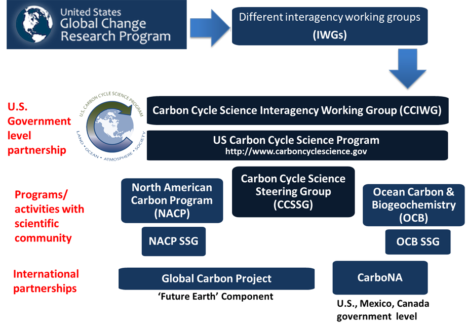 Carbon Cycle Programs