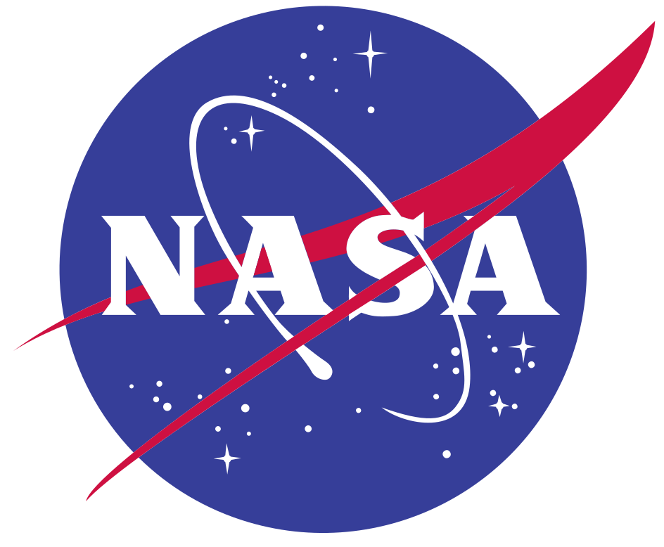 NASA Meatball Logo